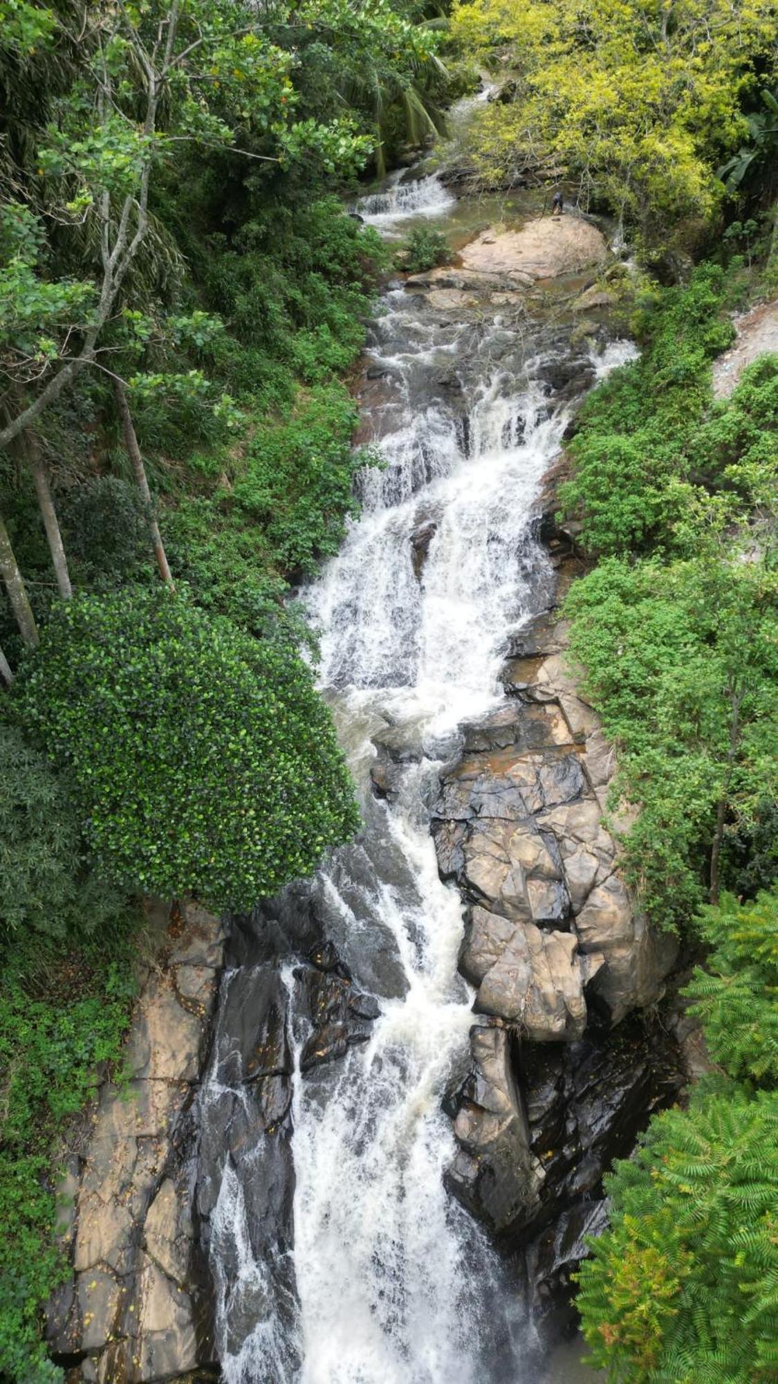 Naturewoodland * إيلا