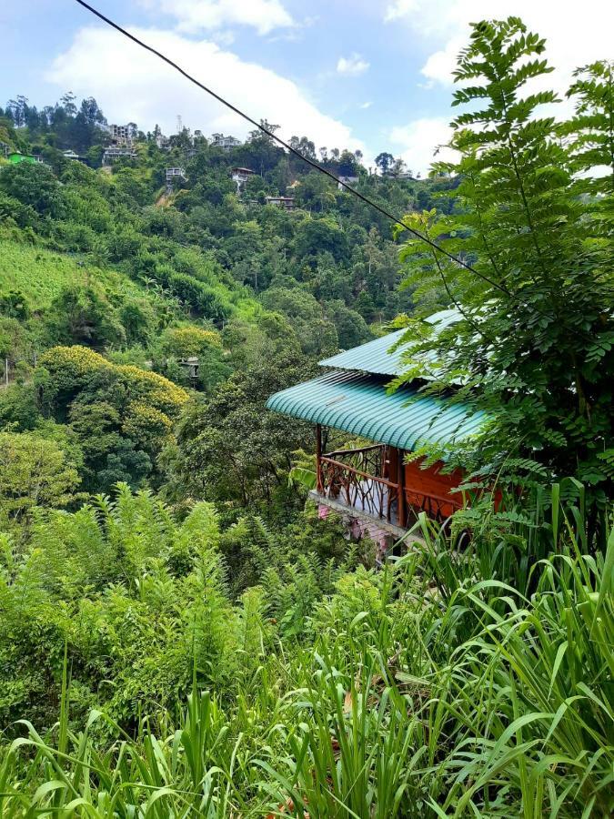 منزل للإقامة Naturewoodland إيلا