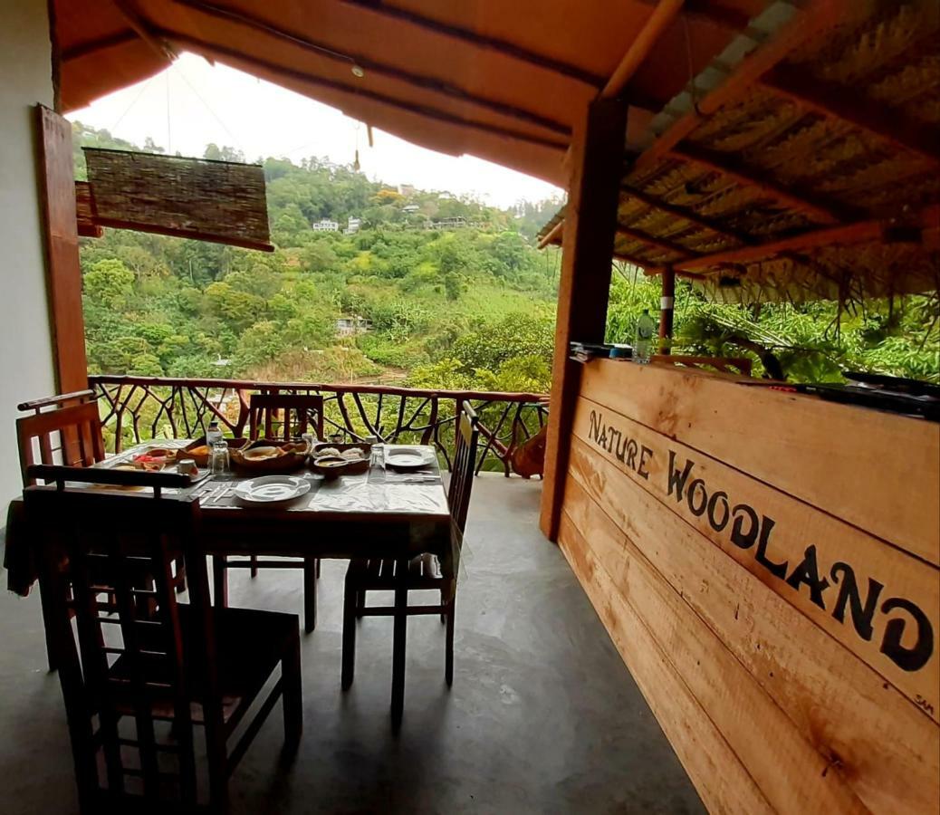 Naturewoodland إيلا